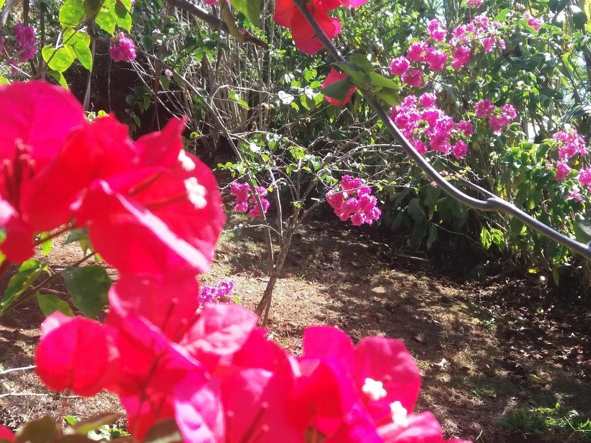 La Princesa Hotel San Isidro De El General Εξωτερικό φωτογραφία