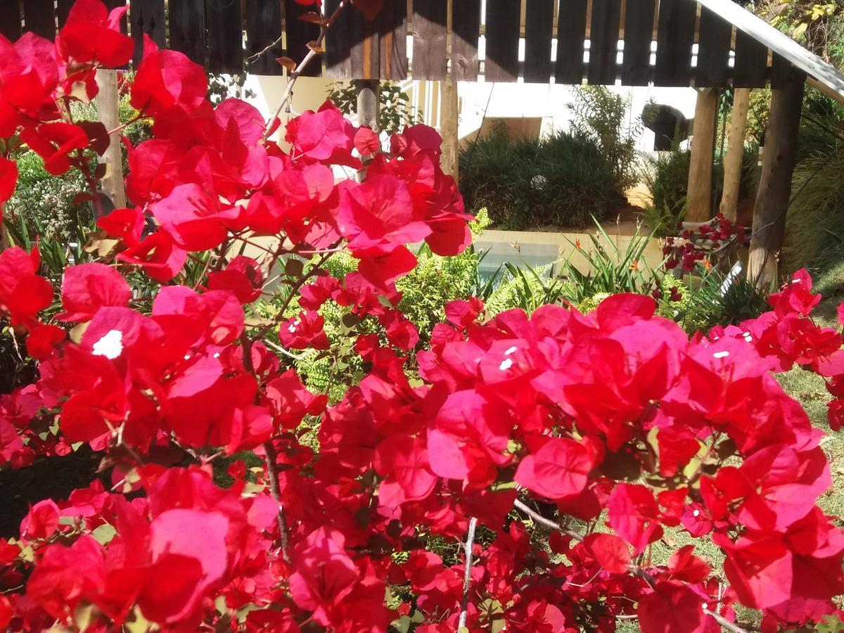 La Princesa Hotel San Isidro De El General Εξωτερικό φωτογραφία