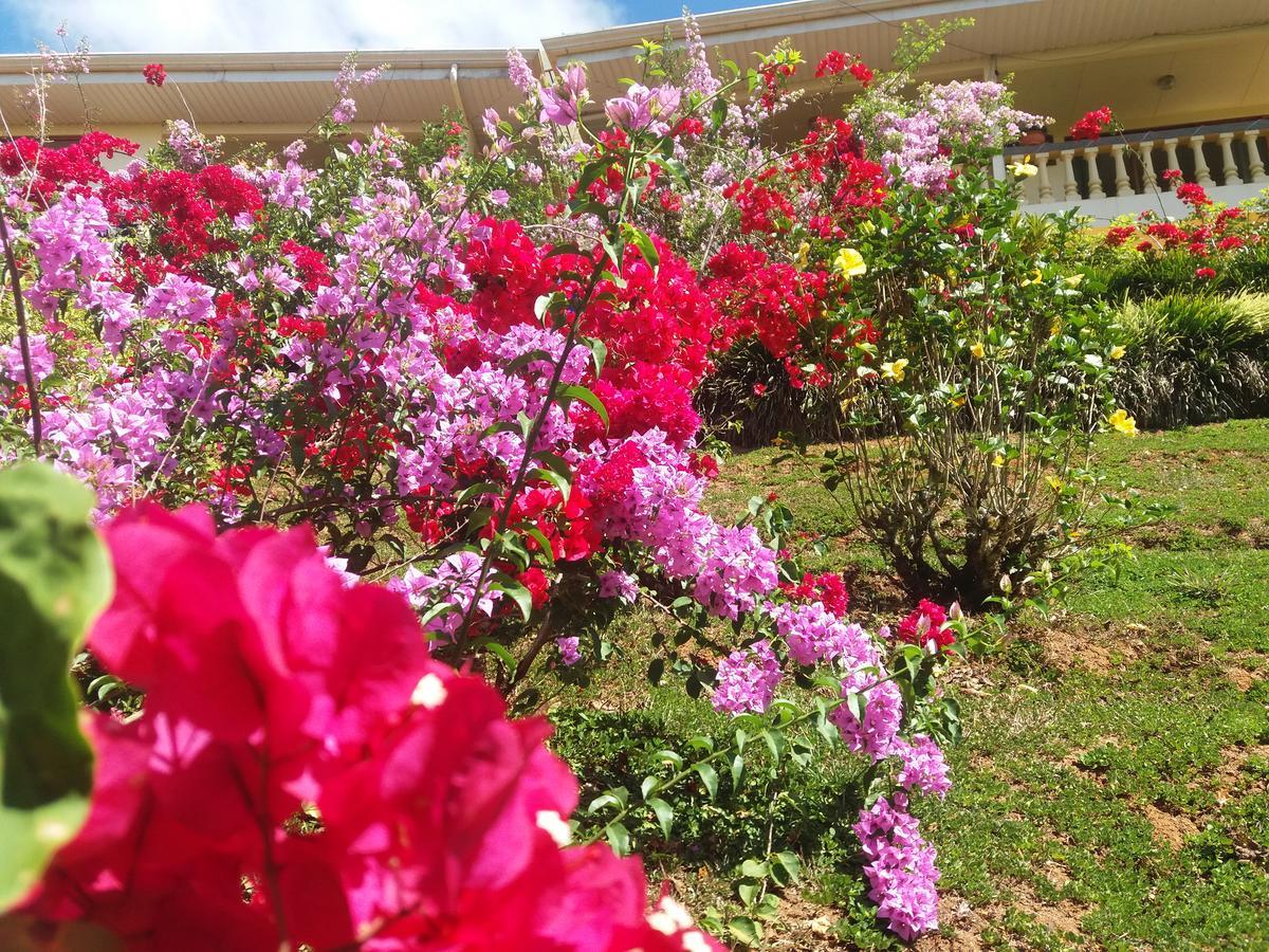 La Princesa Hotel San Isidro De El General Εξωτερικό φωτογραφία